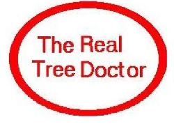tree care logo for Tree doctor 4
