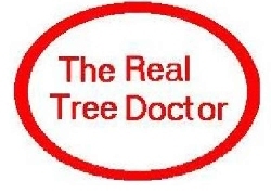 Logo for the Real Tree Doctor a tree expert . 4